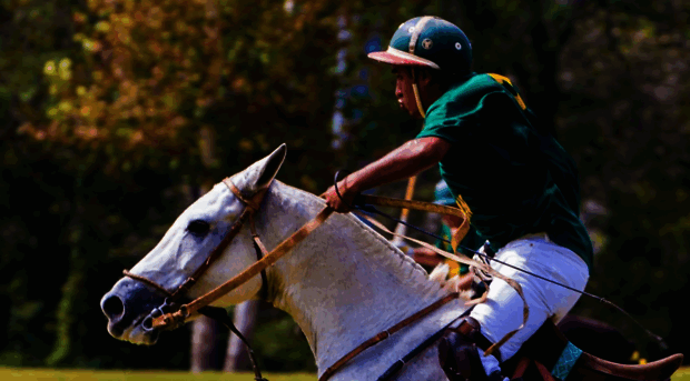 polointhepines.com