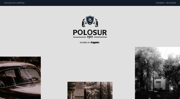 polosur.com