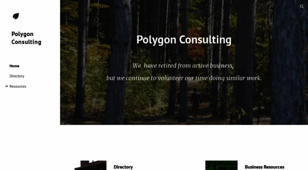 polygonconsulting.com