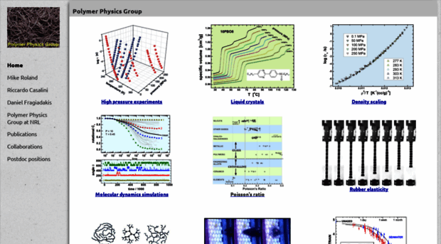 polymerphysics.net
