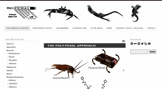 polypedal.berkeley.edu