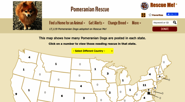 pomeranian.rescueme.org