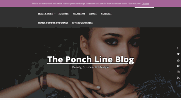 ponchcosmeticsblog.com