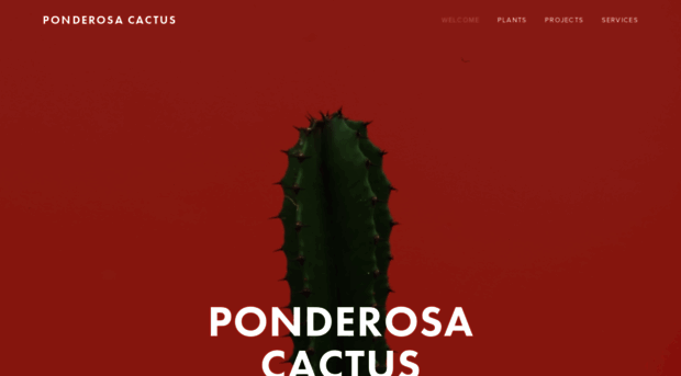 ponderosacactus.com