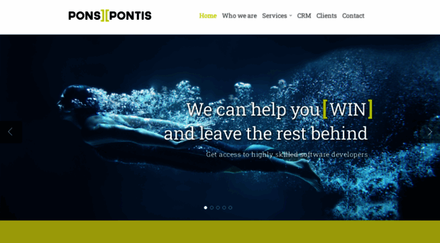 pons-pontis.com