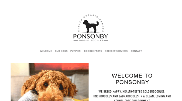 ponsonbypoodledoodles.com