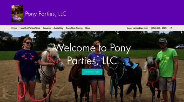 ponybirthdayparties.weebly.com