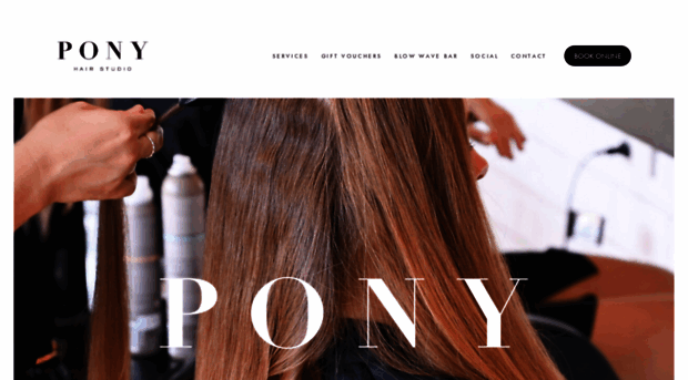 ponyhairstudio.com