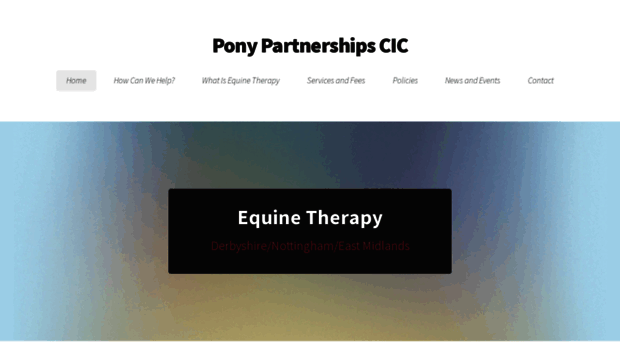 ponypartnerships.com