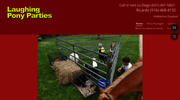 ponyridesny.com