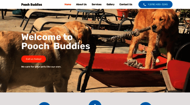 poochbuddies.com