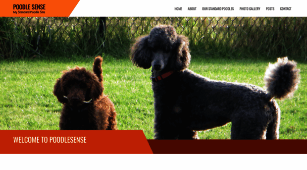 poodlesense.com