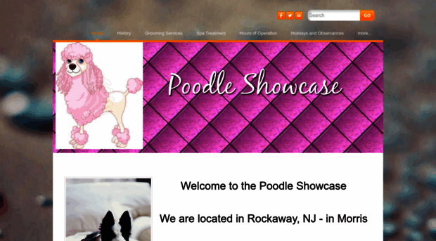 poodleshowcase.com