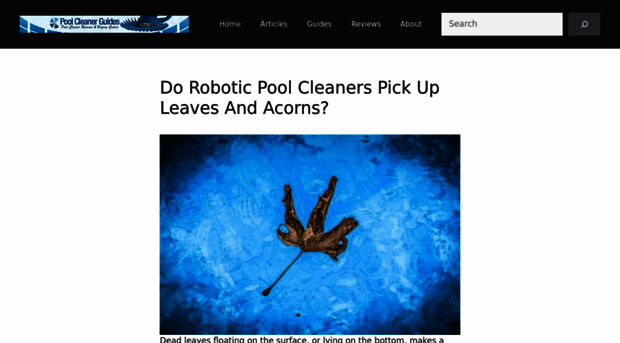 poolcleanerguides.com