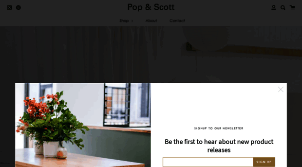 popandscott.com