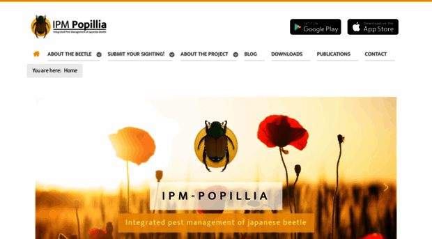 popillia.eu