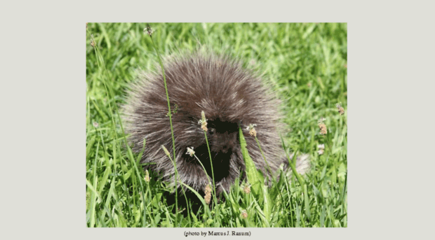 porcupine.org