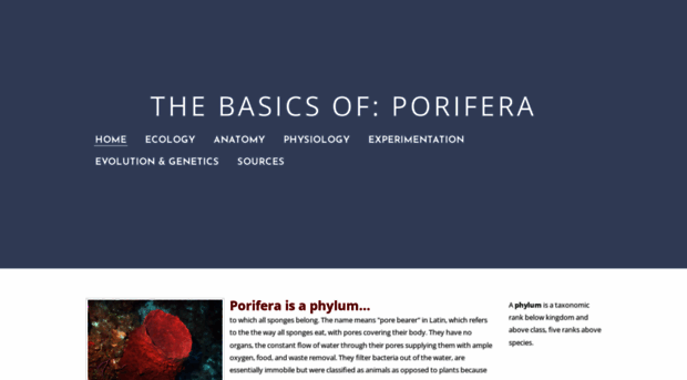 poriferabasics.weebly.com