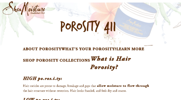 porosity411.com