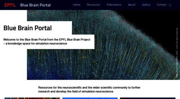 portal.bluebrain.epfl.ch