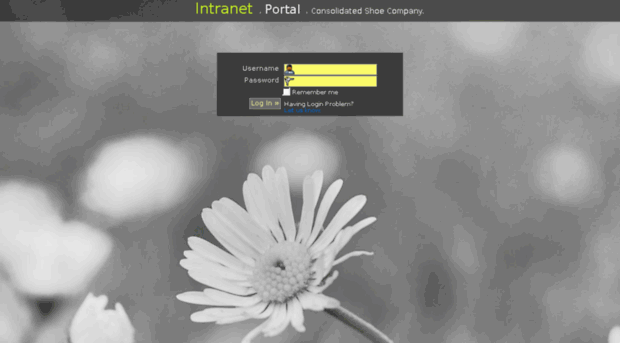 portal.consolidatedshoe.com