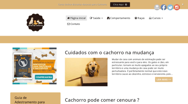 portaldoscachorros.com.br