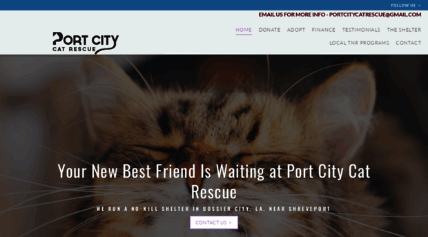 portcitycatrescue.org