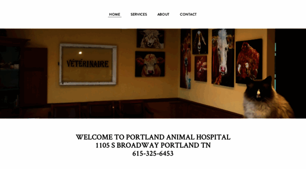 portlandanimalvet.com