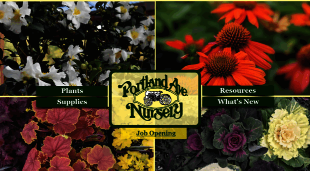 portlandavenursery.com