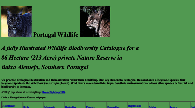 portugalwildlife.com