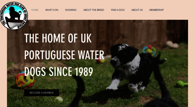 portuguesewaterdogs.org.uk