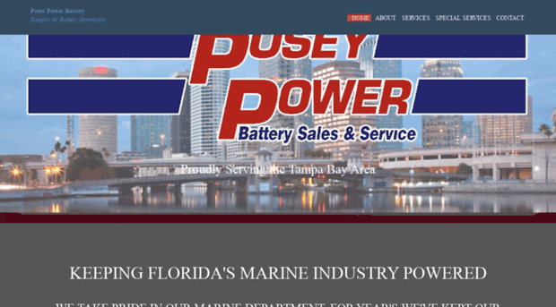 poseypowerbatteries.com