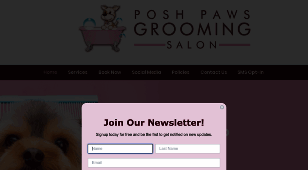 poshpawsgroomingsalon.com