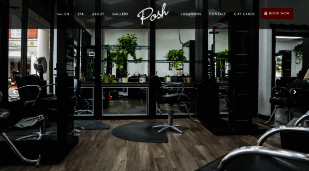 poshsalonandspa.com