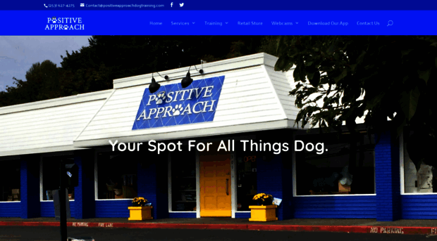 positiveapproachdogtraining.com