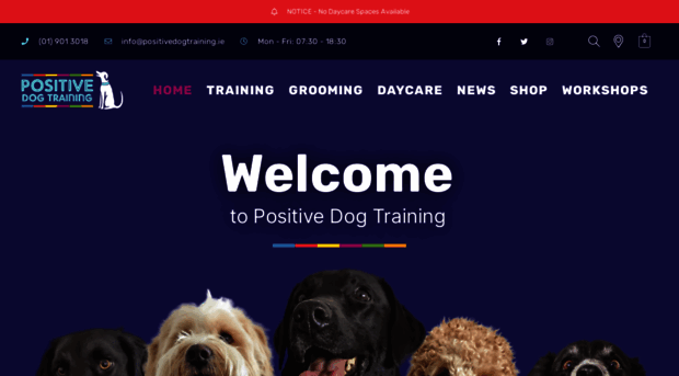 positivedogtrainingdublin.com