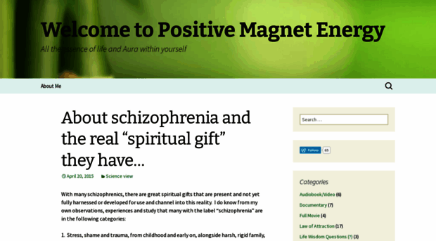 positivemagnetenergy.wordpress.com