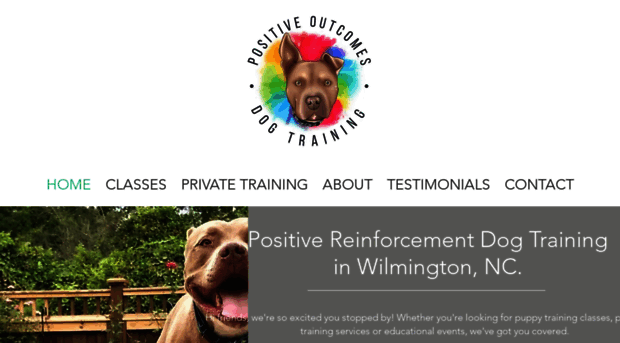 positiveoutcomesdogtraining.com