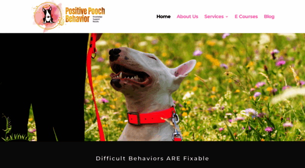 positivepooch.net