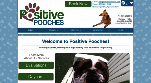 positivepooches.com