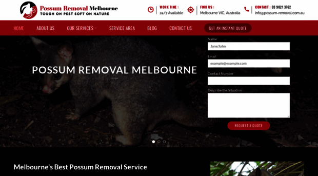 possum-removal.com.au