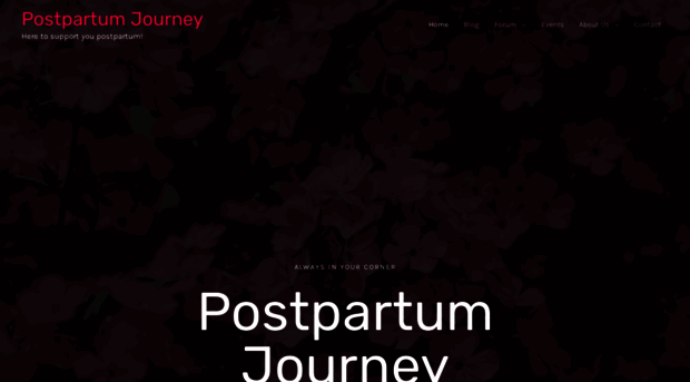 postpartumjourney.com