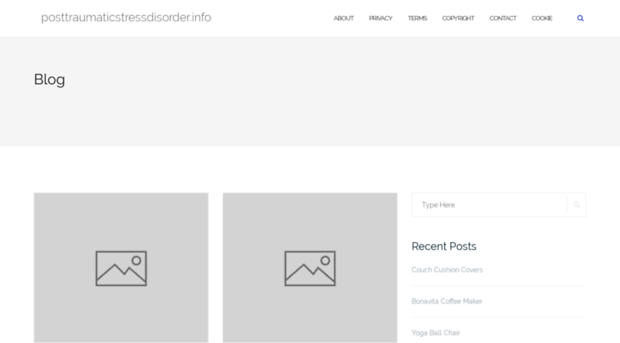 posttraumaticstressdisorder.info