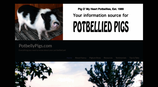 potbellypigs.com