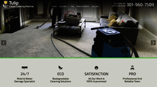 potomaccarpetcleaning.com