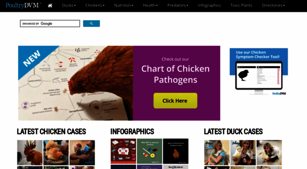 poultrydvm.com