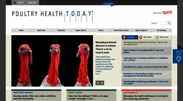 poultryhealthtoday.com