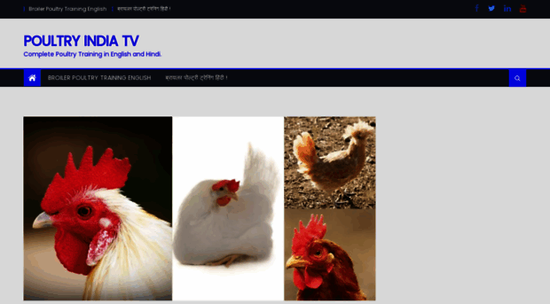 poultryindiatv.com