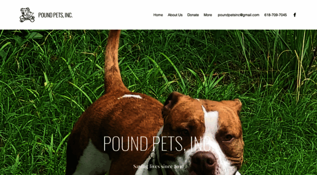 poundpetsinc.com