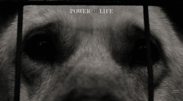 poweroflife.jp